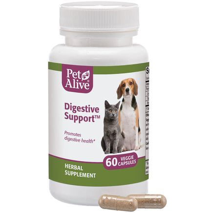 Digestive Support™ for Cat & Dog Digestion-351883