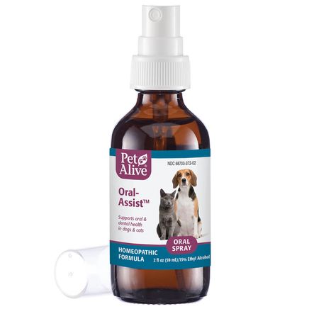 Oral-Assist™ Oral Spray-358107
