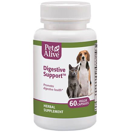 Digestive Support™ for Cat & Dog Digestion-351883