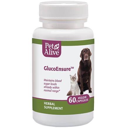 GlucoEnsure™ for Pet Blood Sugar Support-351899