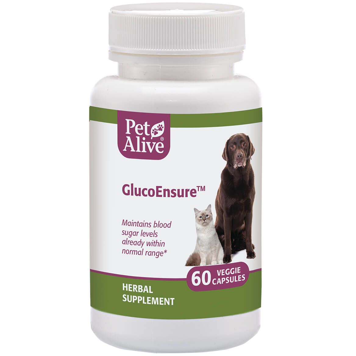 GlucoEnsure™ for Pet Blood Sugar Support + '-' + 351899