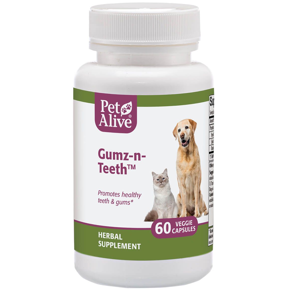 Gumz-n-Teeth™ for Pet Oral Health + '-' + 351913