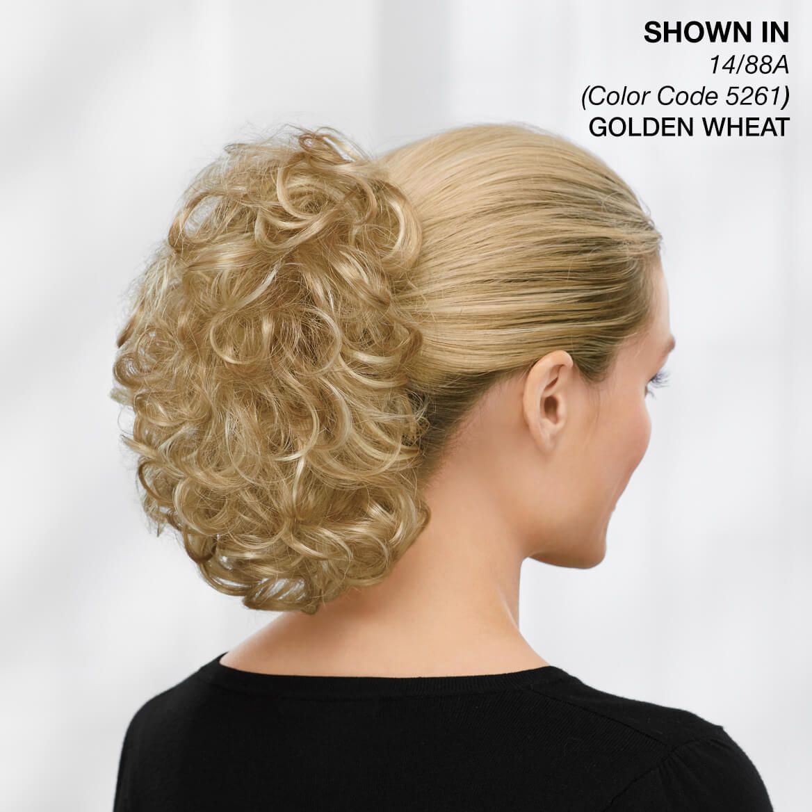Paula Young® Full Volume Wavy Clip-On Hair Piece + '-' + 379160