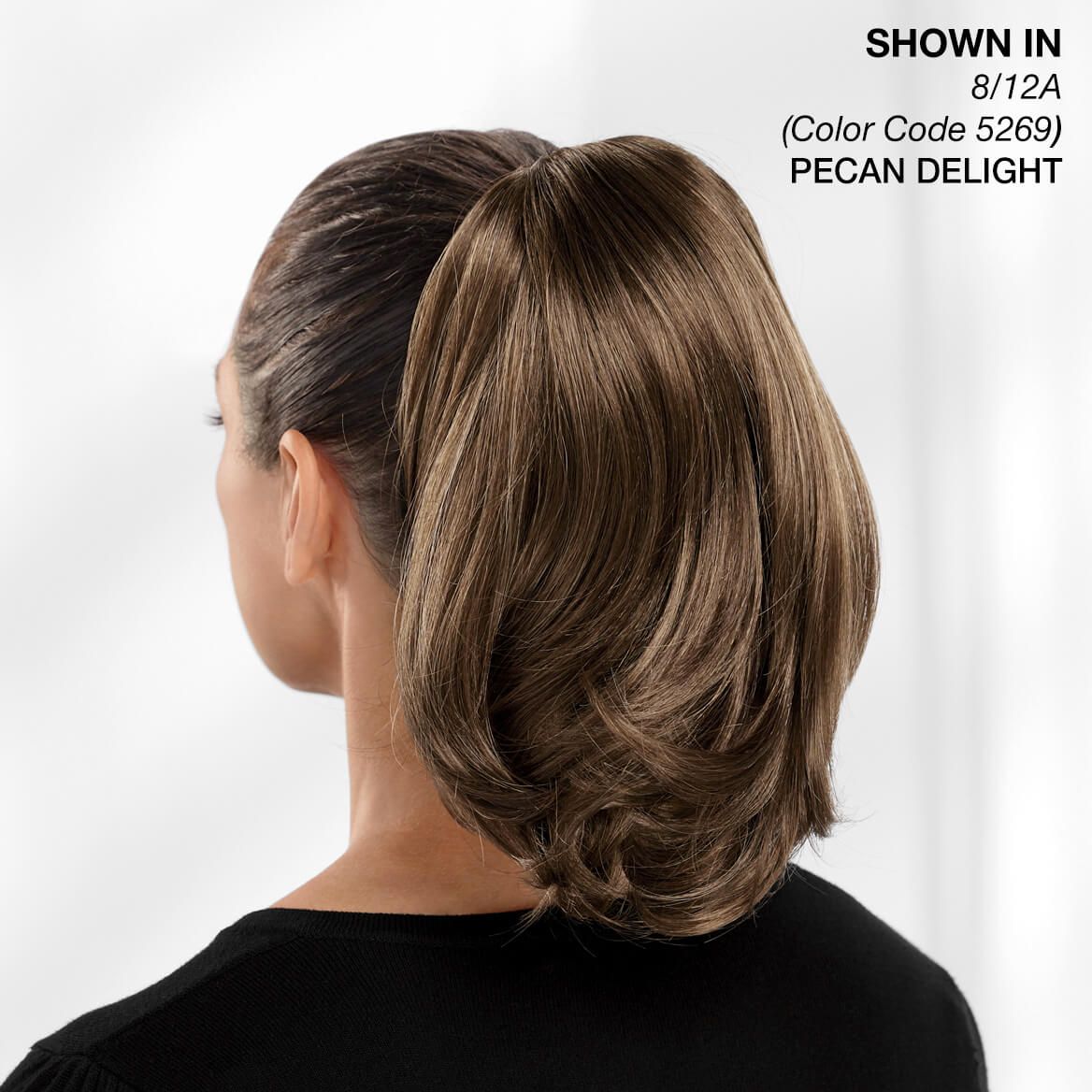 Paula Young® Longer Perfect Pouf Pony Clip-On Hair Piece + '-' + 379278