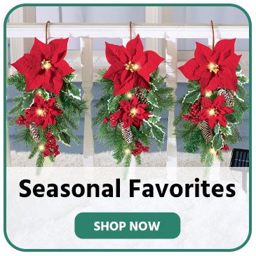 Shop Seasonal Favorites