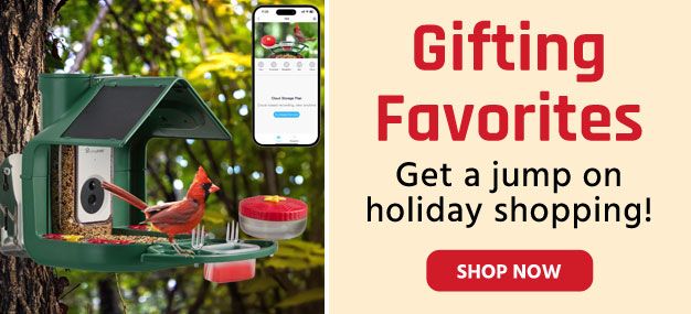 Shop Gifting Favorites