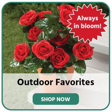 Shop Garage & Garden