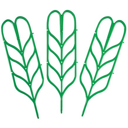 Mini Garden Trellis, Set of 3-371317