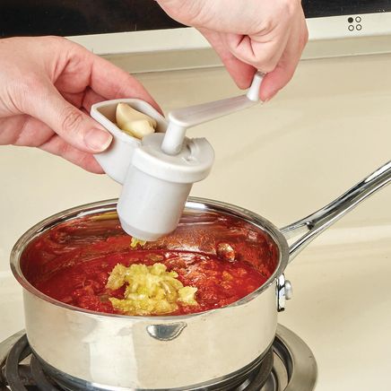 Mini Garlic Grinder-375022
