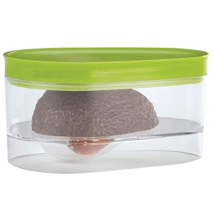 Avocado Keeper-375802