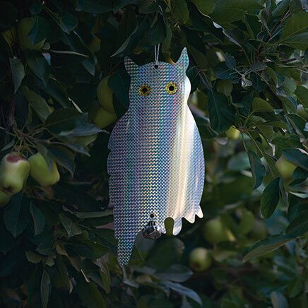 Owl Reflector by Scare-D-Pest™-310253