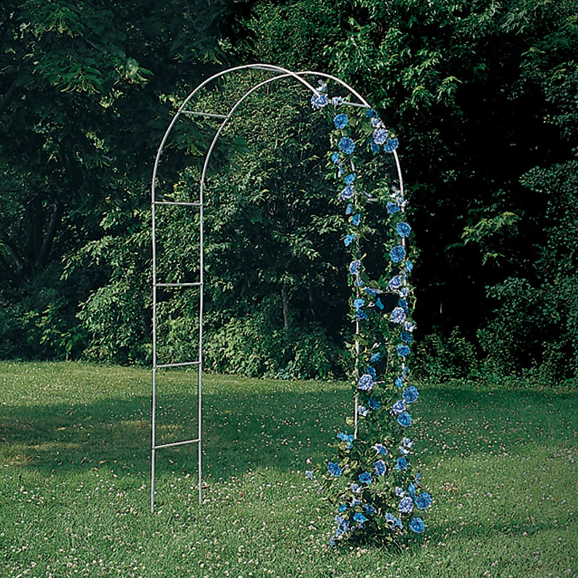 White Arched Garden Trellis + '-' + 318049