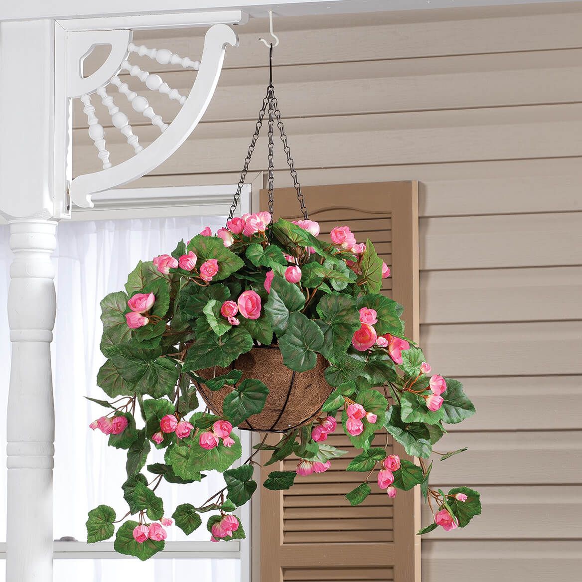 Begonia Hanging Stem by OakRidge™ + '-' + 355287