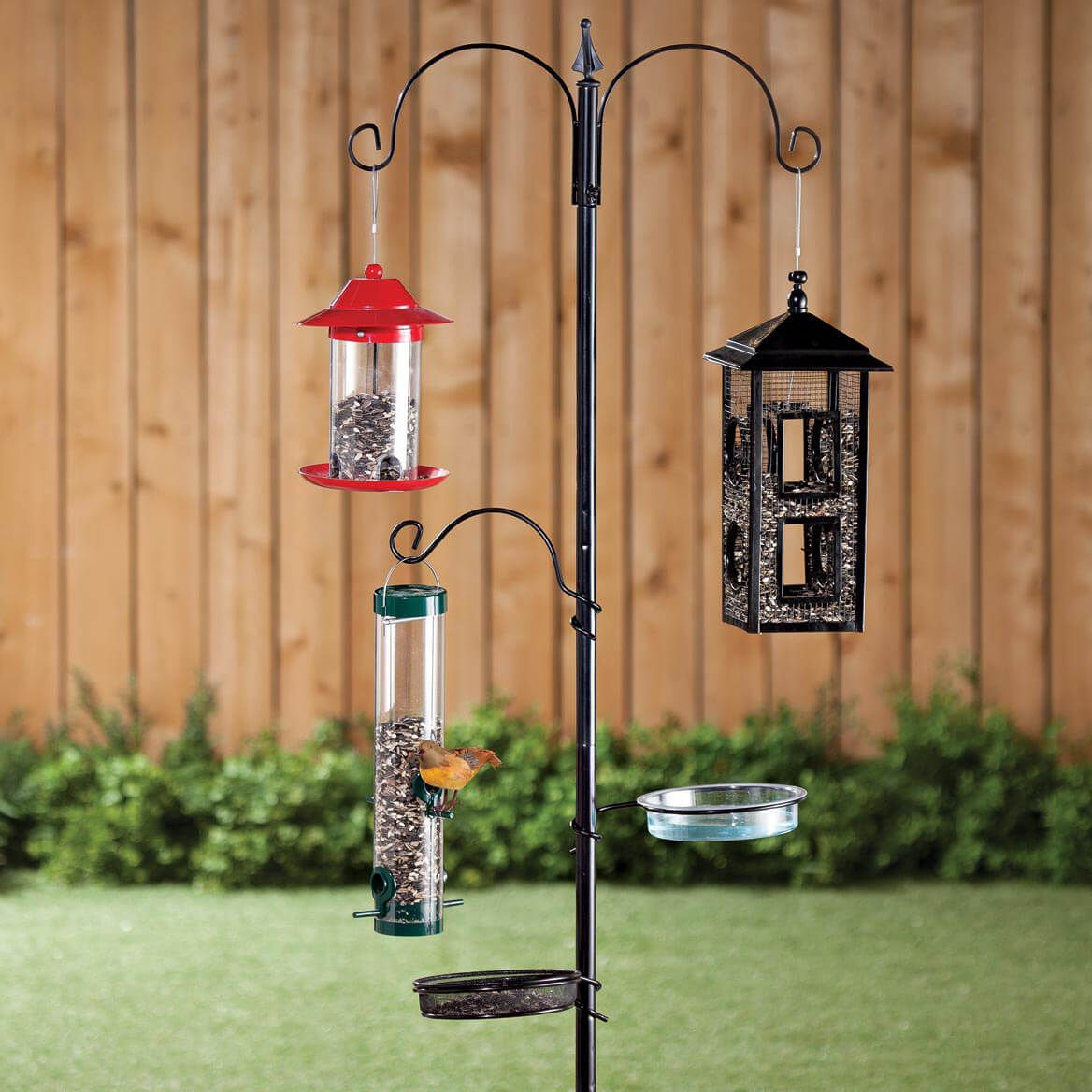 Wild Bird Feeding Station + '-' + 358086