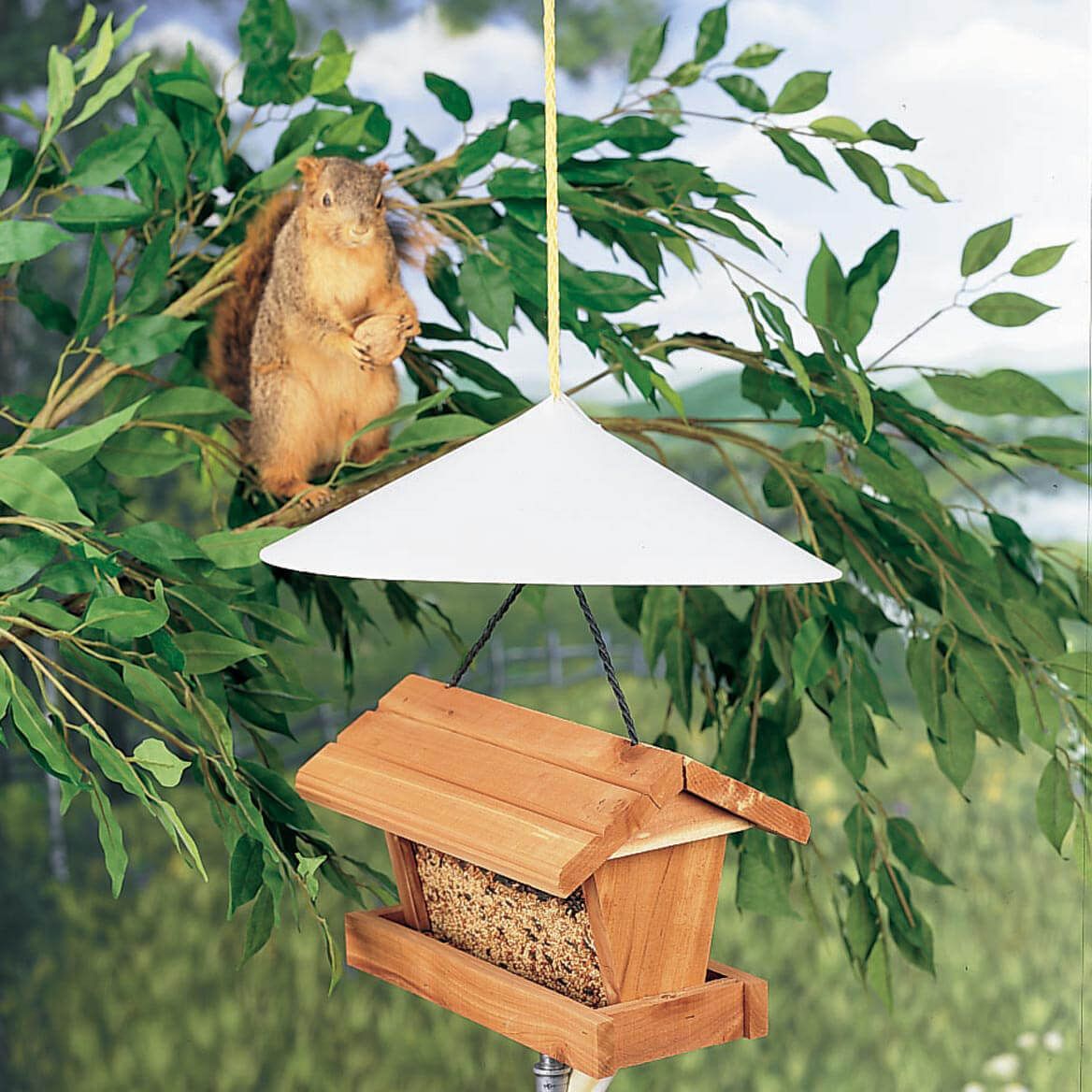 Squirrel Baffle + '-' + 359406