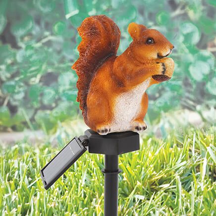 Solar Garden Squirrel-369701