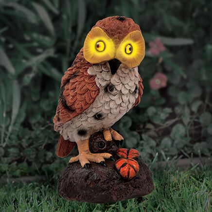 Hooting Garden Owl-369702