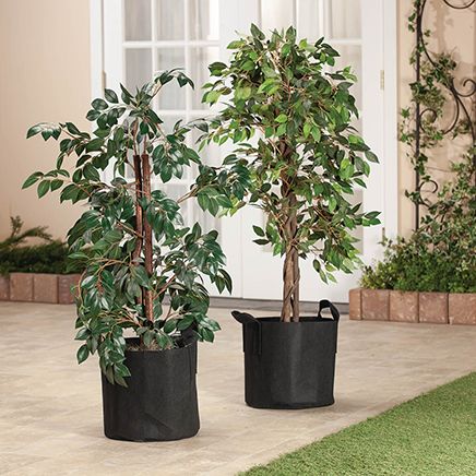 Reusable Fabric Grow Bags, Set of 5-371512