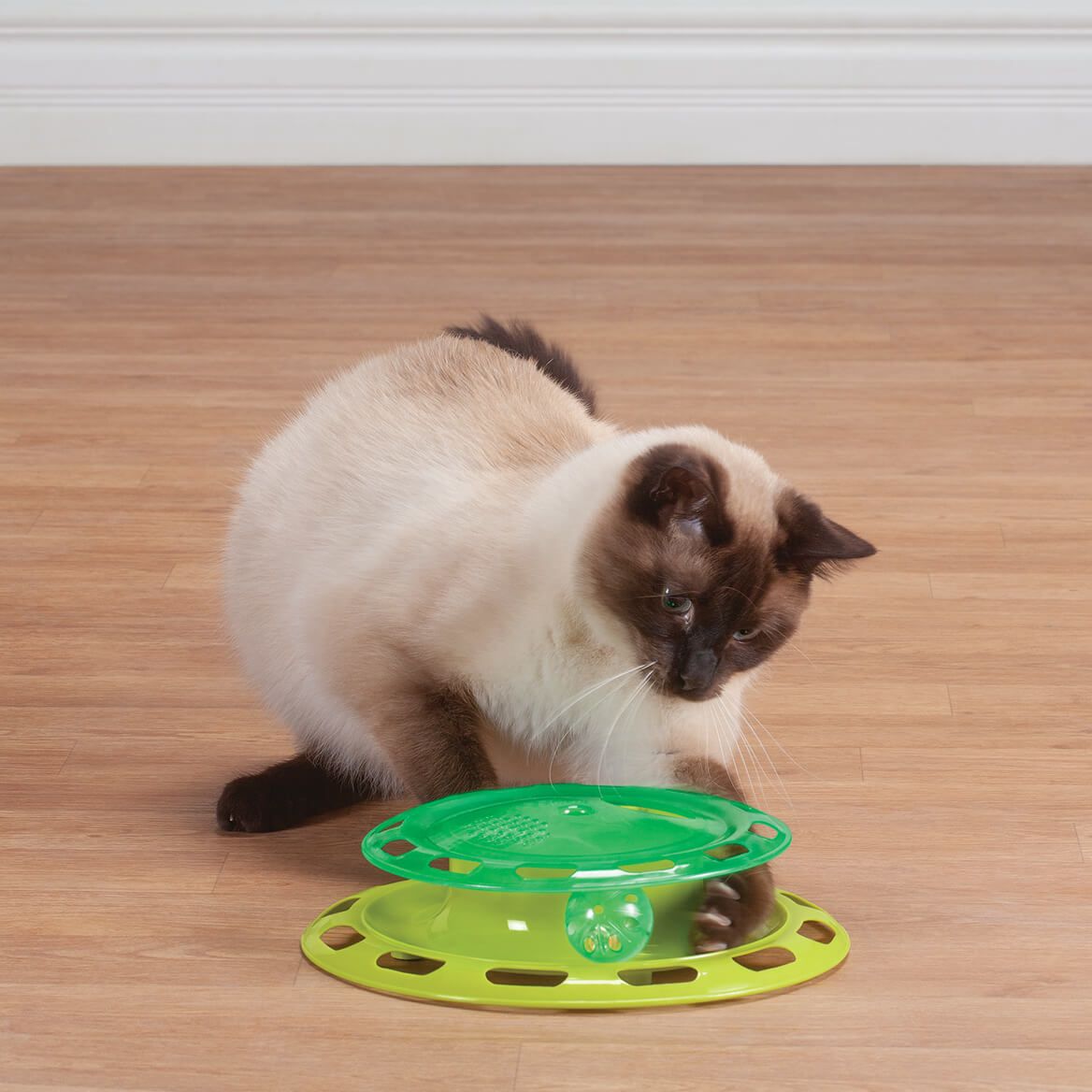 Cat Track Toy + '-' + 374032