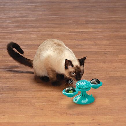 Suction Cup Cat Toy-374834