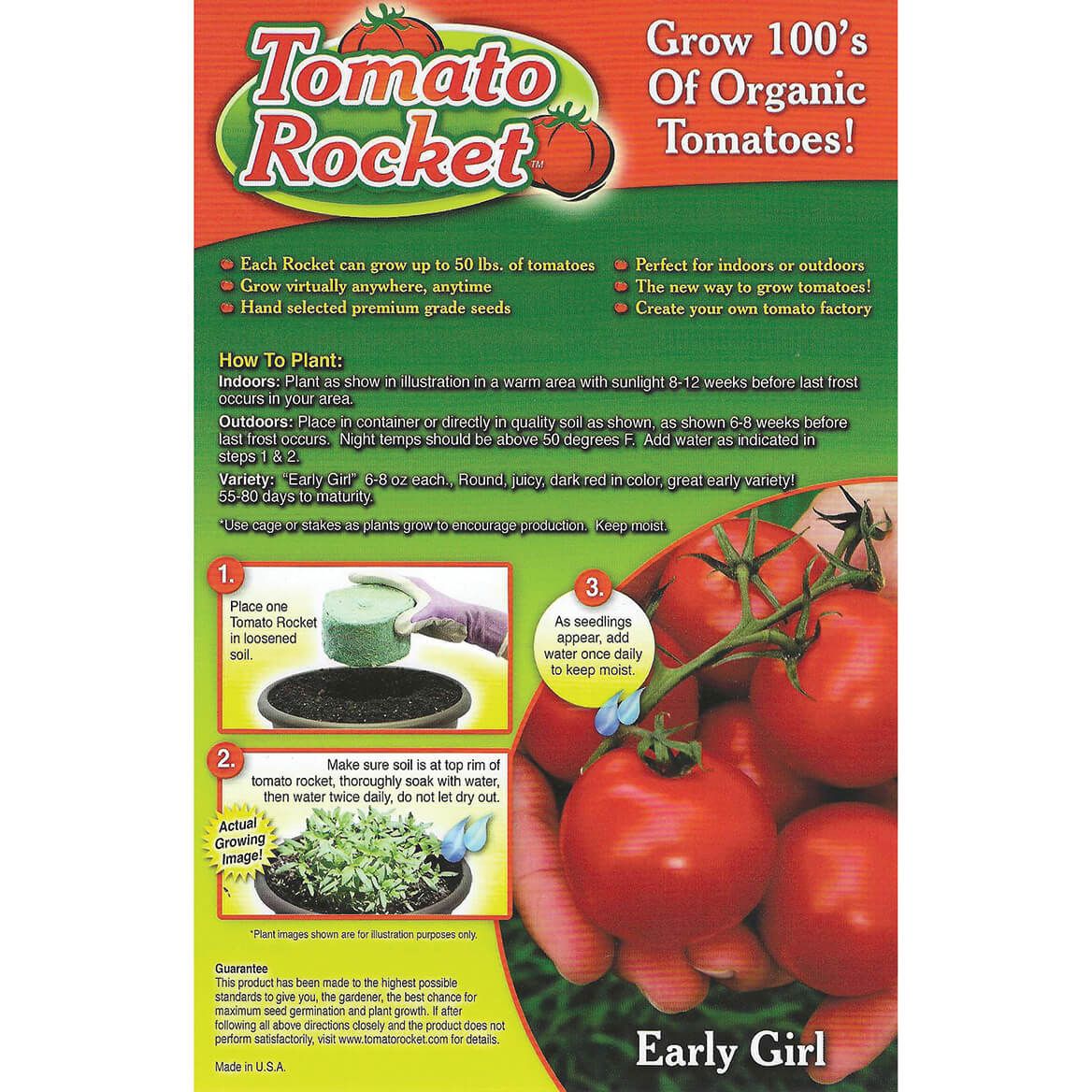 Early Girl Tomato Rocket + '-' + 374953