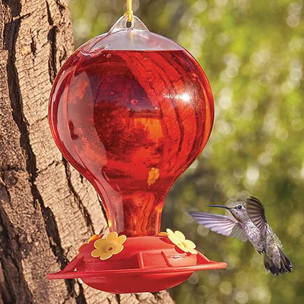 Bulb Hummingbird Feeder-375156