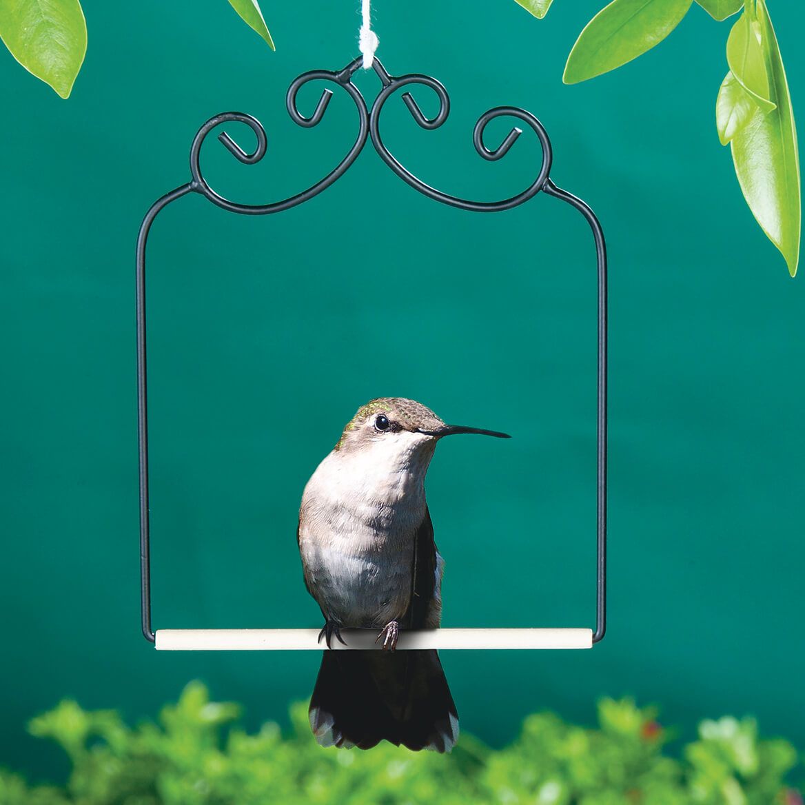 Hummingbird Swing + '-' + 375262