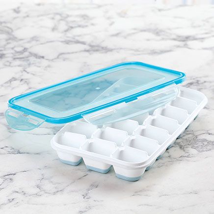 Covered Ice Cube Tray-375790