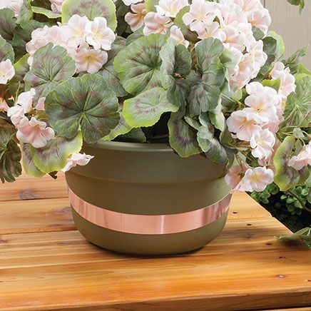 Slug and Snail Copper Barrier Tape-376132