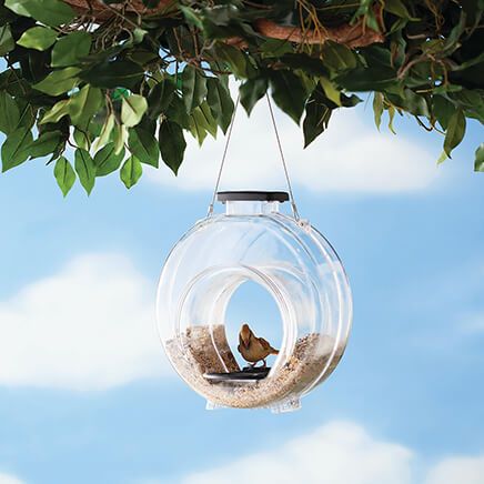 Large Clear Fly-Through Birdfeeder-376434