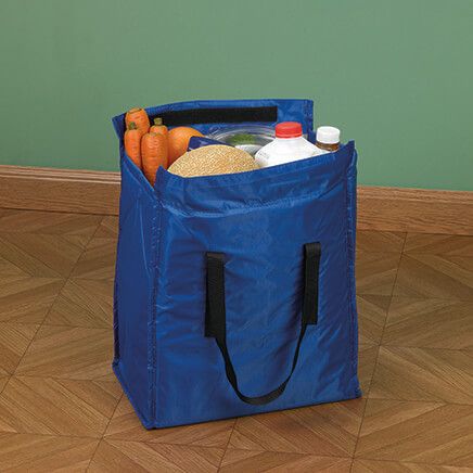 Blue Insulated Market Bag-376587