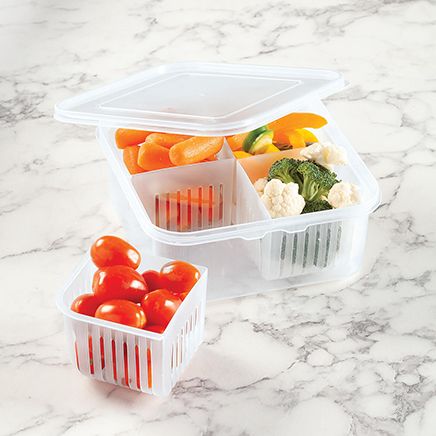 4-Section Covered Storage Container by Chef's Pride™-376591