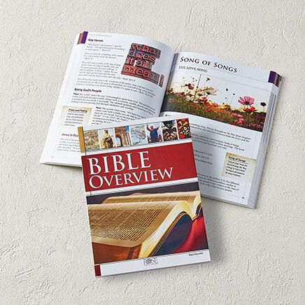 Bible Overview Book-376739