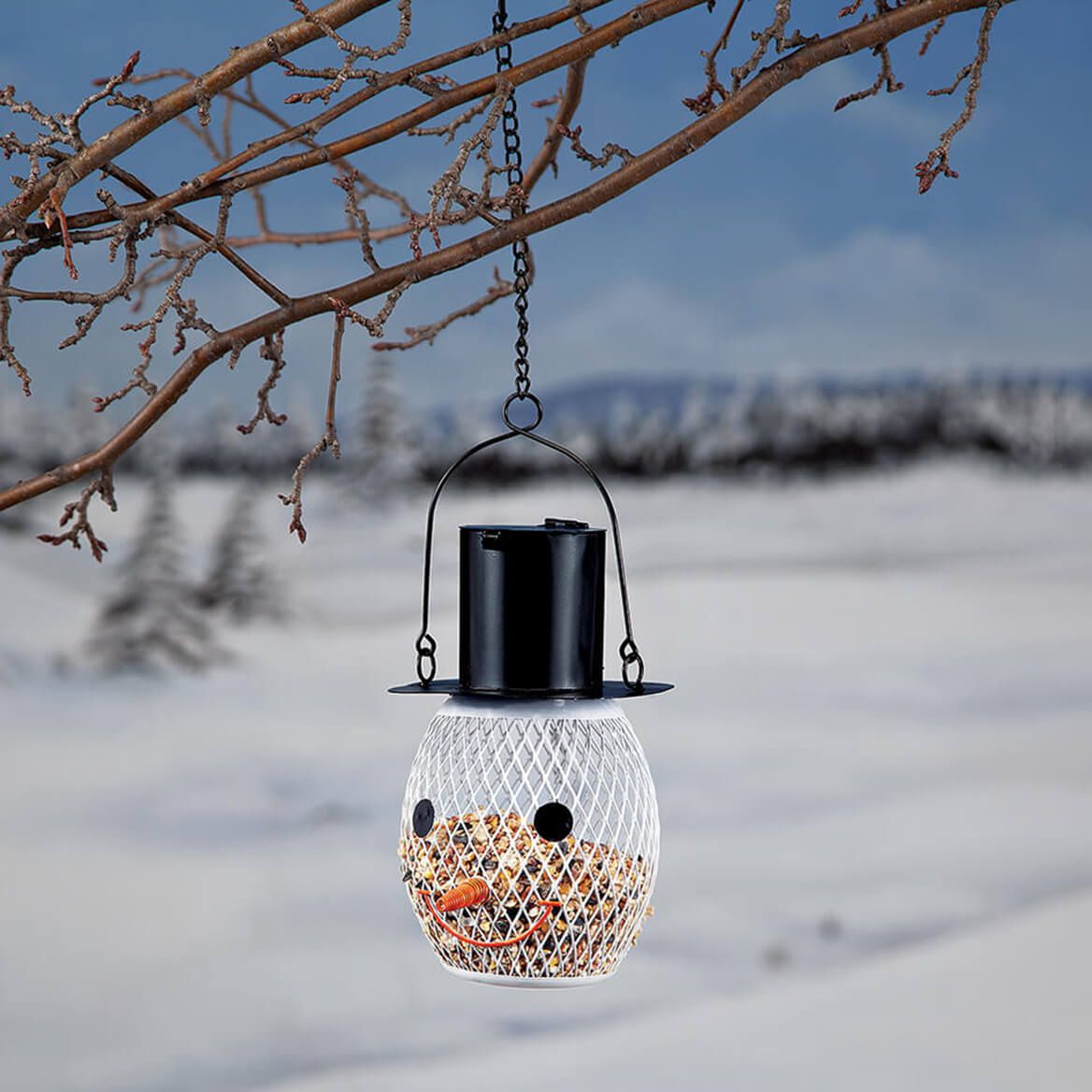 Snowman Bird Feeder + '-' + 377426