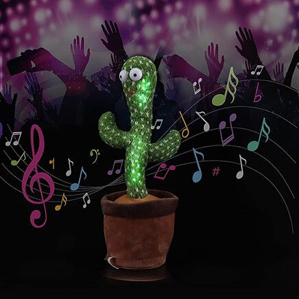 Dancing Cactus-377819