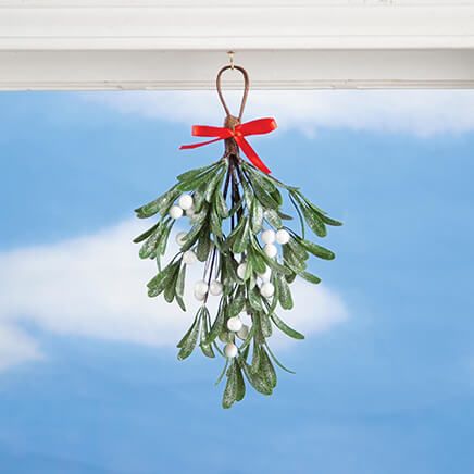 Hanging Mistletoe-378111