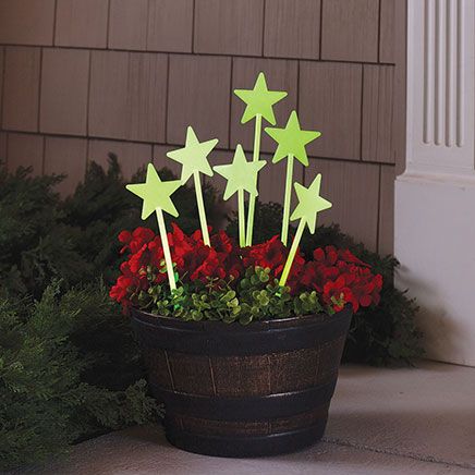 Glow-In-The-Dark Star Stakes, Set of 6-378191