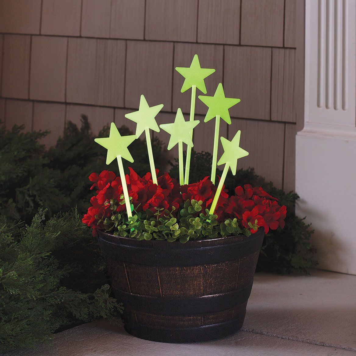 Glow-In-The-Dark Star Stakes, Set of 6 + '-' + 378191