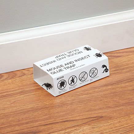 Mouse and Insect Glue Traps, Set of 10 by Scare-D-Pest™-378230