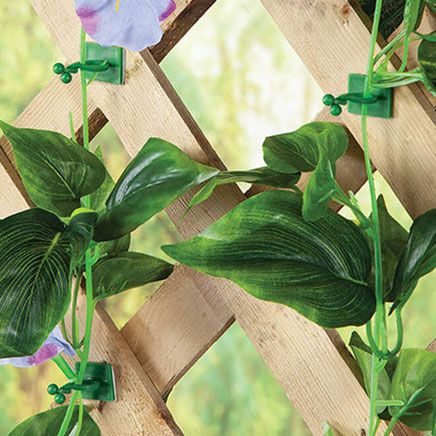 Plant Climbing Clips, Set of 100-378236