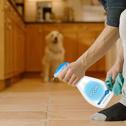 Pooph® Pet Odor Eliminator-378523