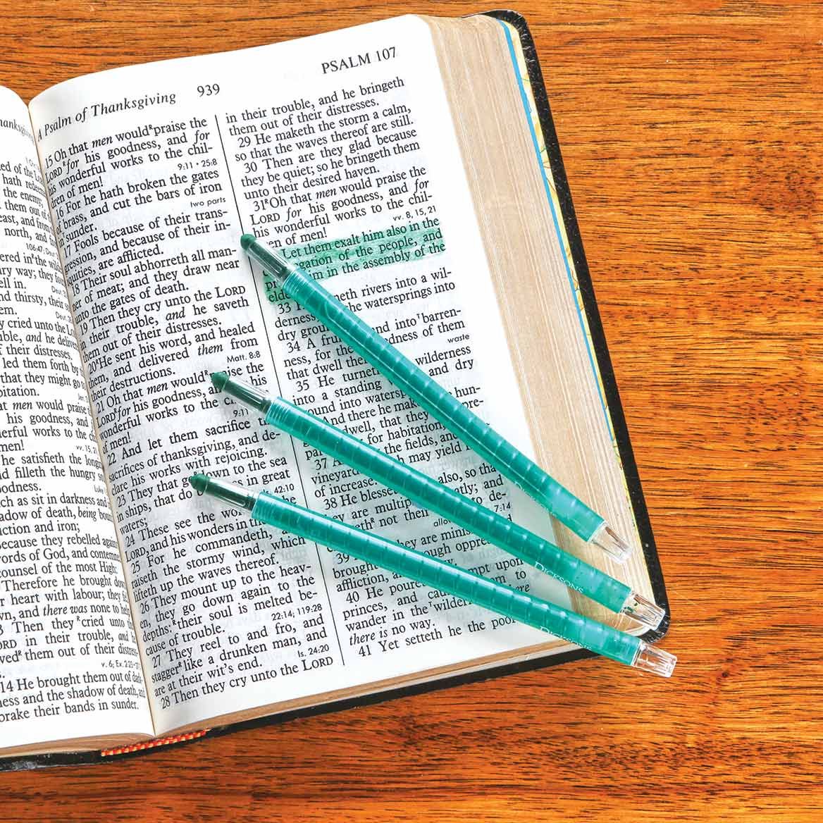 Green Bible Dry-Liters, Set of 3 + '-' + 379250