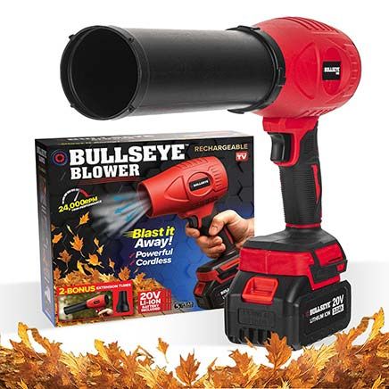 Bullseye™ Blower-380168