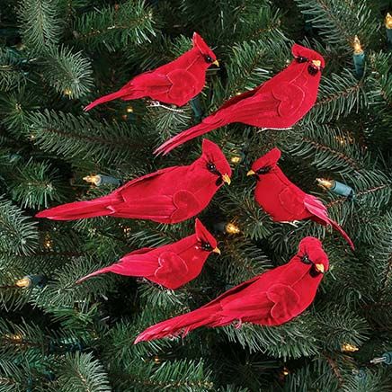View product details for Cardinal Clips, Set of 6