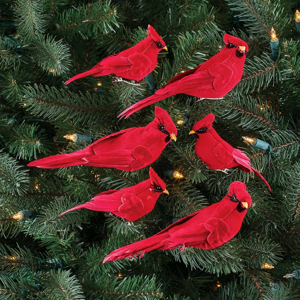 Cardinal Clips, Set of 6
