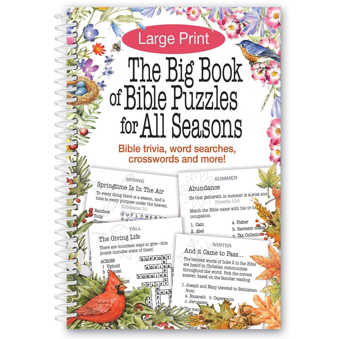 Large Print The Big Book of Bible Puzzles for All Seasons