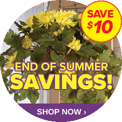 poptab end of summer sale