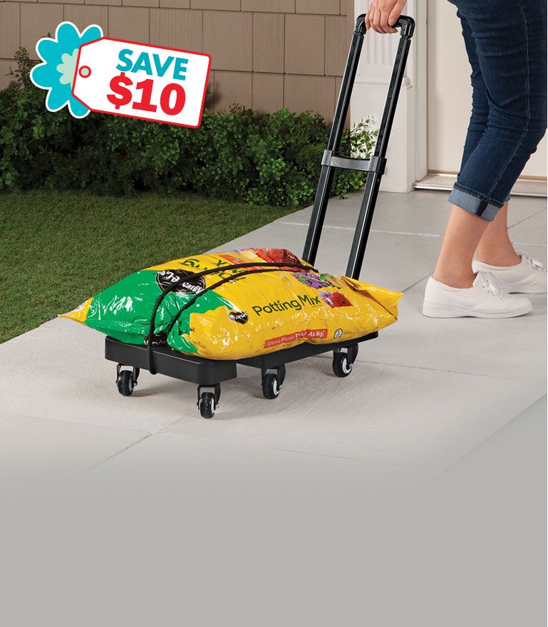 Shop Daily Living Aids