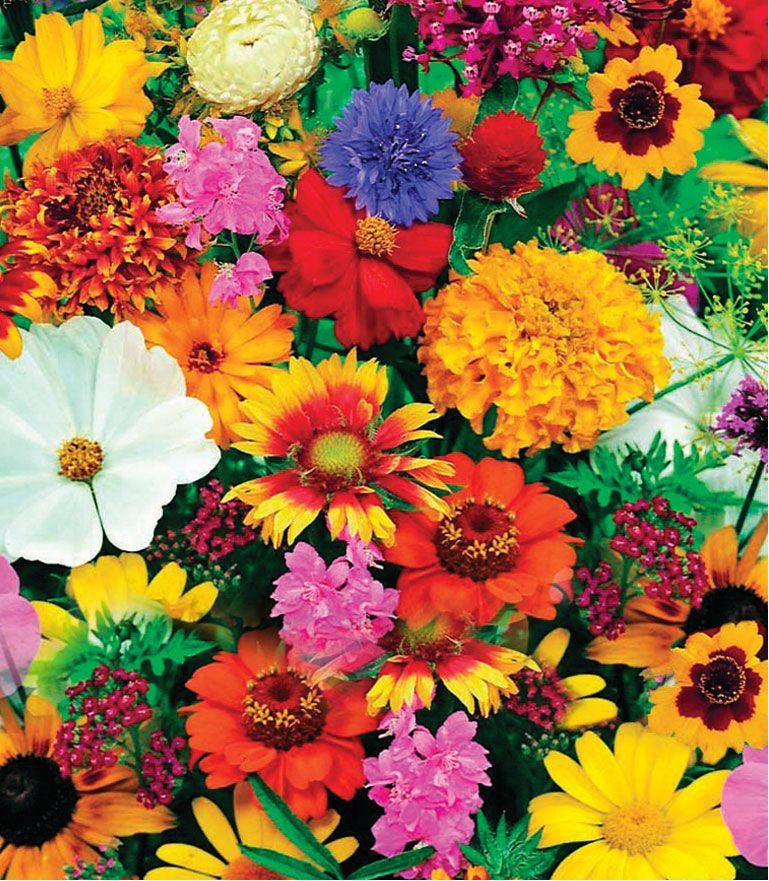 Shop Pre-Seeded Mats