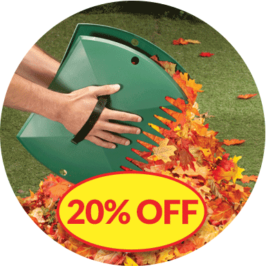 20% Off Fall Clean Up Image
